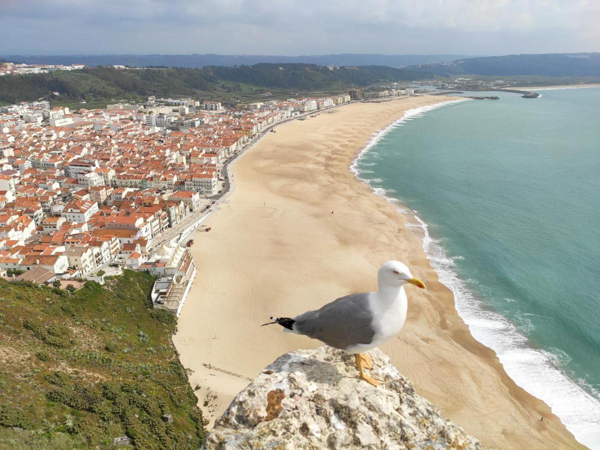 Appartamento Casa Sao Giao Nazaré Esterno foto